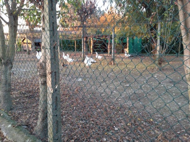 IMG-20131116-WA0040